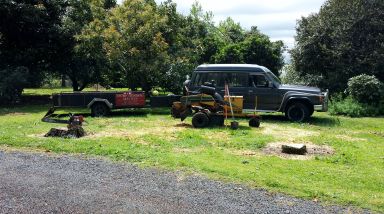 Providing tree services in Te Puke